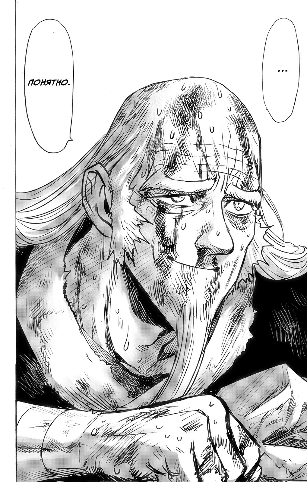 Манга Ванпанчмен - Глава 195 Страница 22