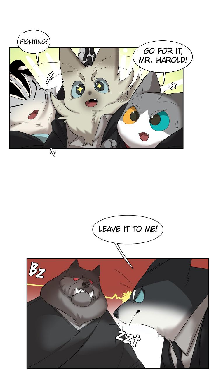 Манга Мисс Китти и ее телохранители - Глава 273 Страница 13