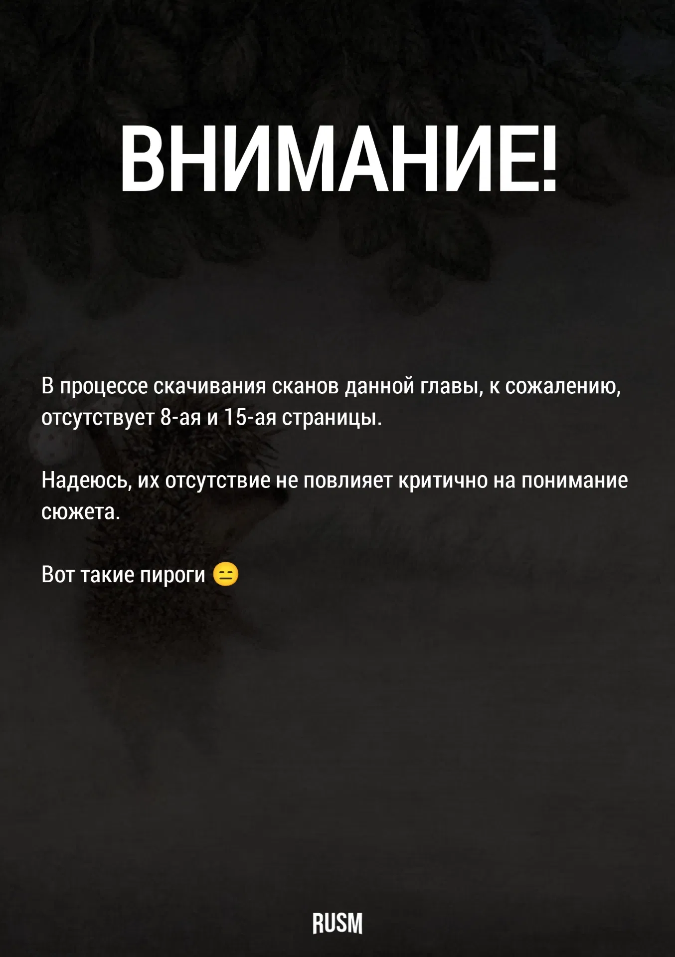 Манга Черная лагуна: Расчленяющая уборщица Сойер! Окровавленная девушка - Глава 30 Страница 3