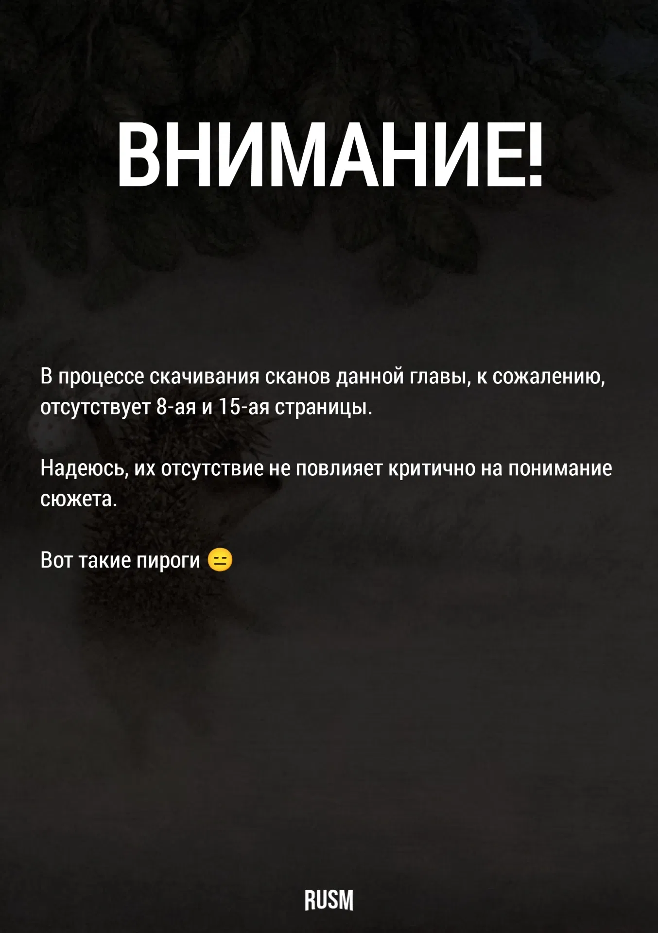Манга Черная лагуна: Расчленяющая уборщица Сойер! Окровавленная девушка - Глава 32 Страница 3