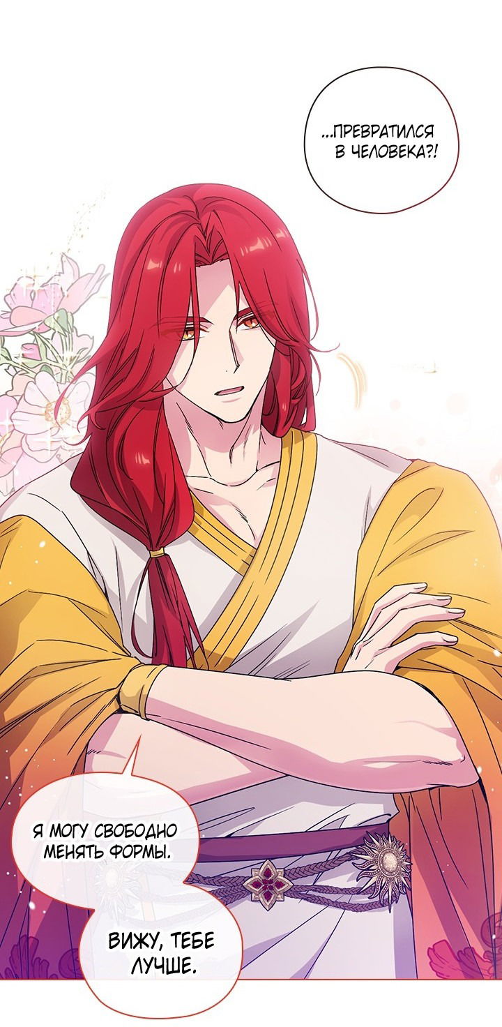 Манга Адонис - Глава 233 Страница 7