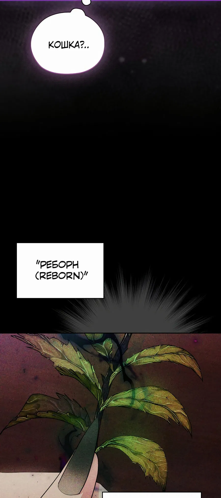 Манга Адонис - Глава 241 Страница 12