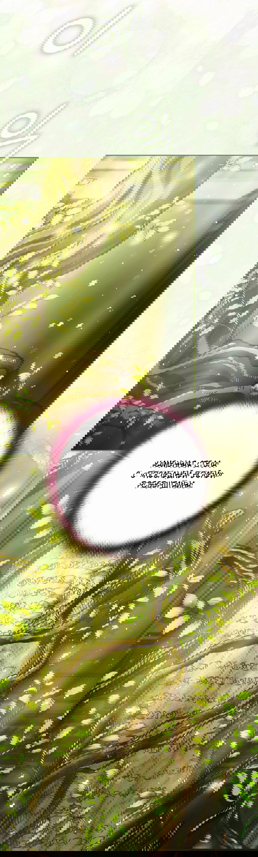 Манга Адонис - Глава 247 Страница 33