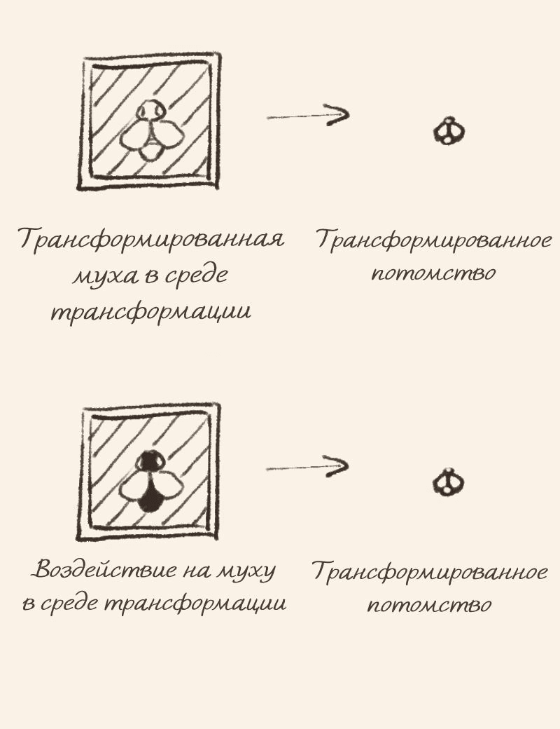 Манга Наперстянка - Глава 31.1 Страница 4