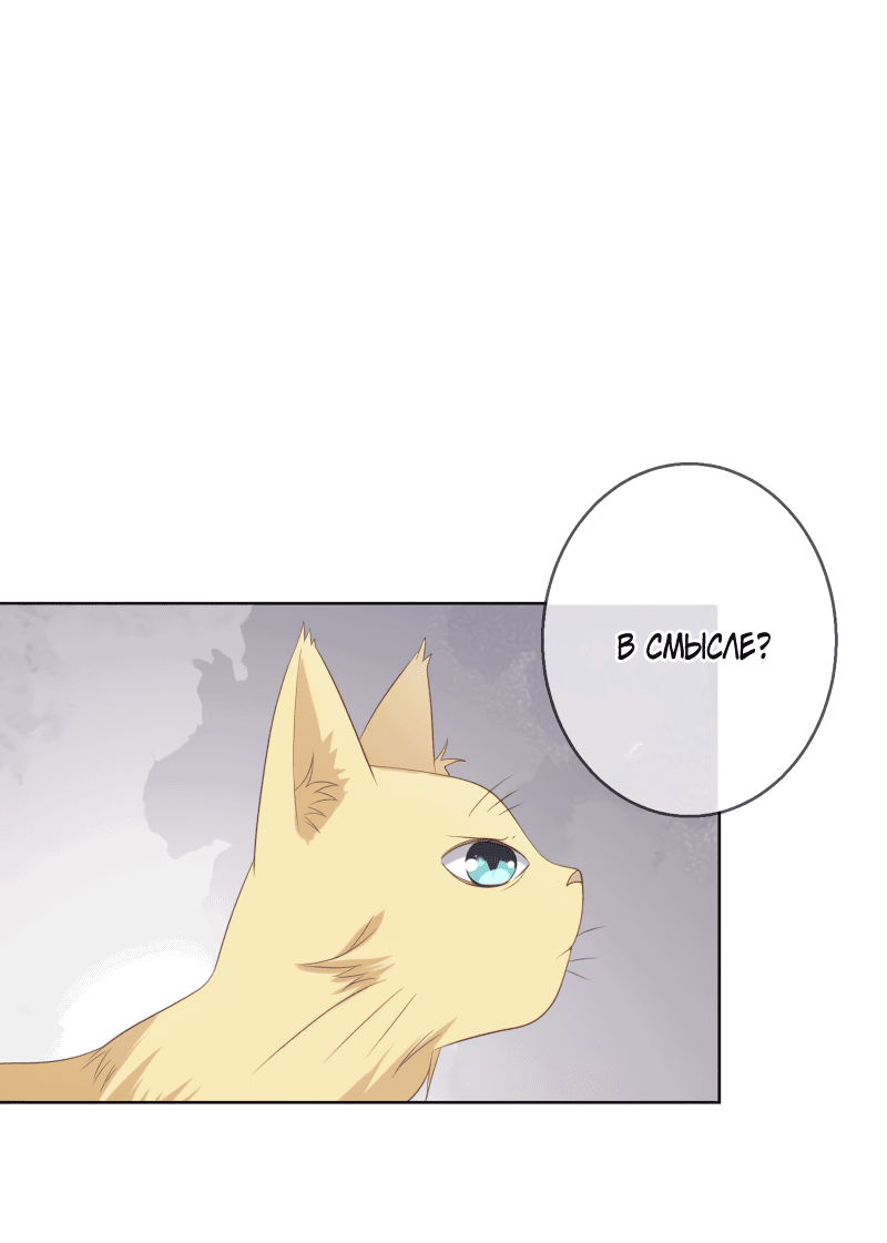 Манга Кошачья натура моего соседа - Глава 113 Страница 1