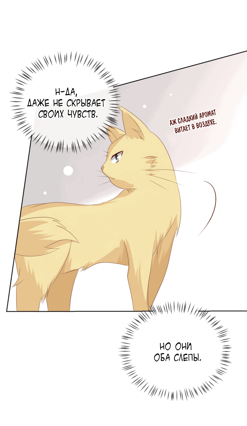 Манга Кошачья натура моего соседа - Глава 113 Страница 23