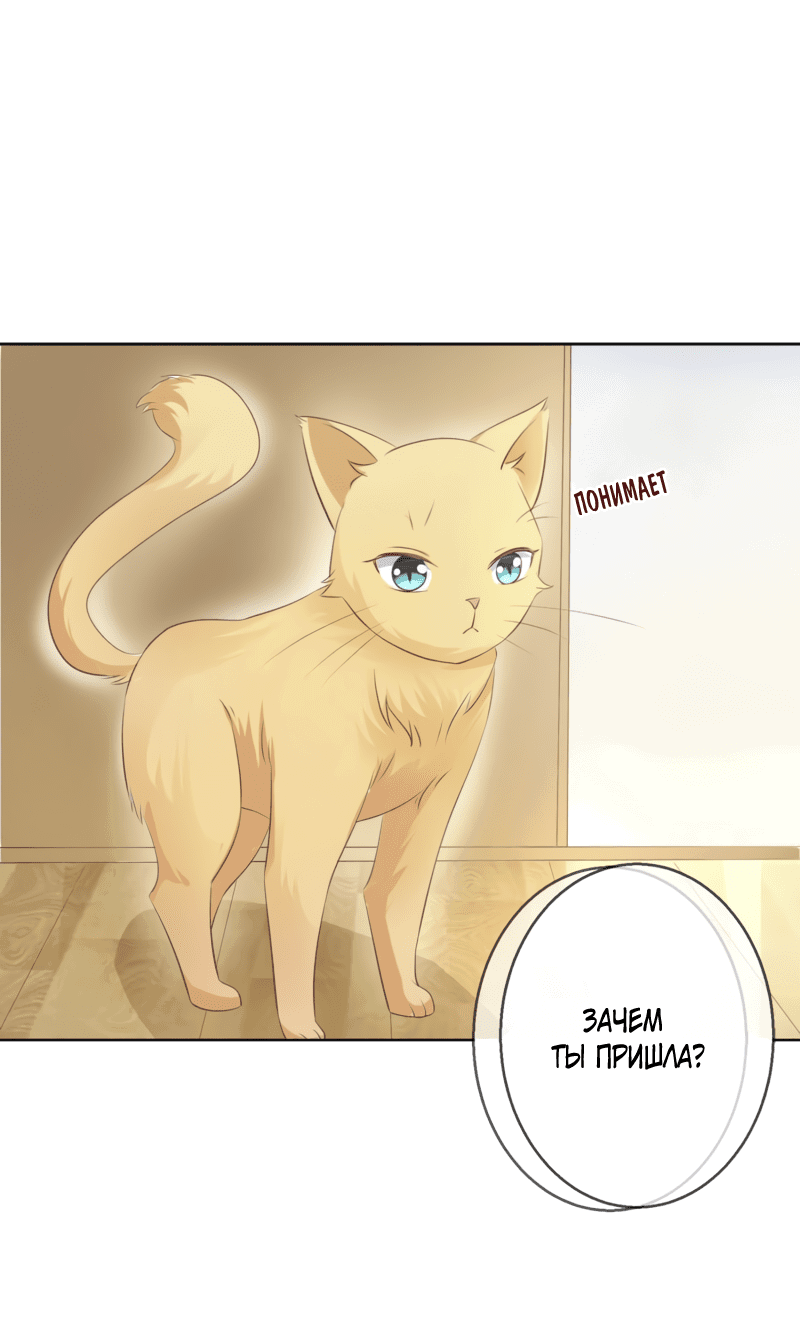 Манга Кошачья натура моего соседа - Глава 112 Страница 34