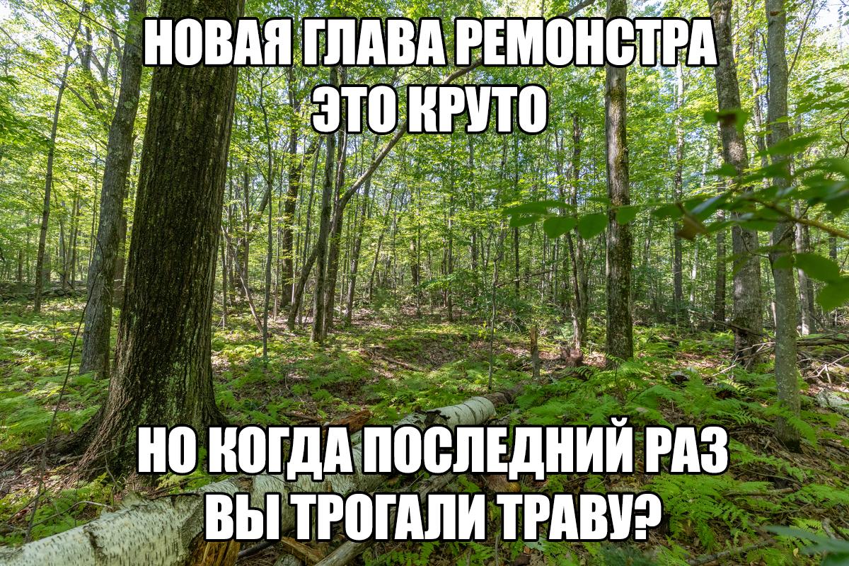 Манга Перерождение: Монстр - Глава 102 Страница 19