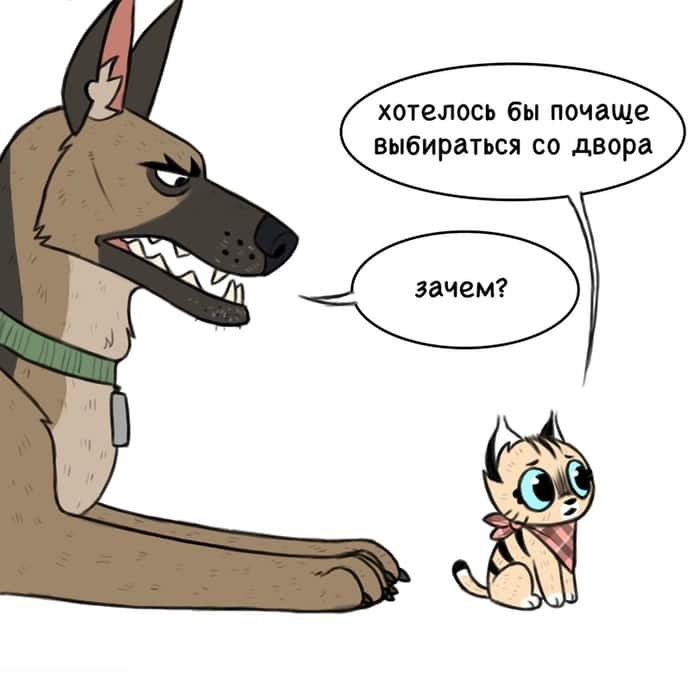 Манга Брут и Пикси - Глава 67 Страница 1