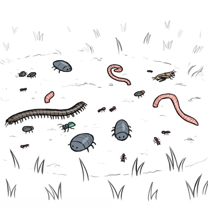 Манга Брут и Пикси - Глава 67 Страница 6