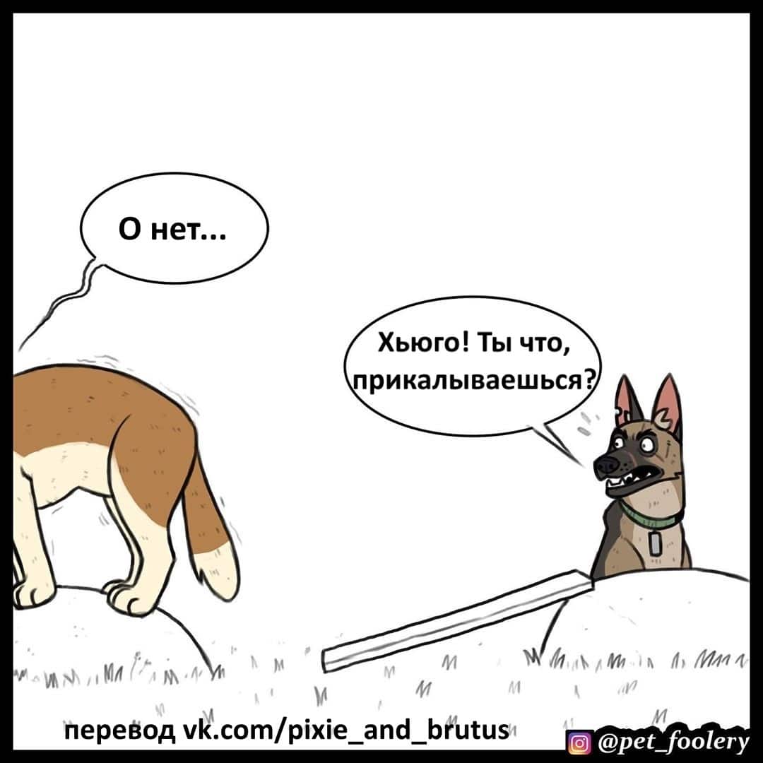 Манга Брут и Пикси - Глава 66 Страница 8