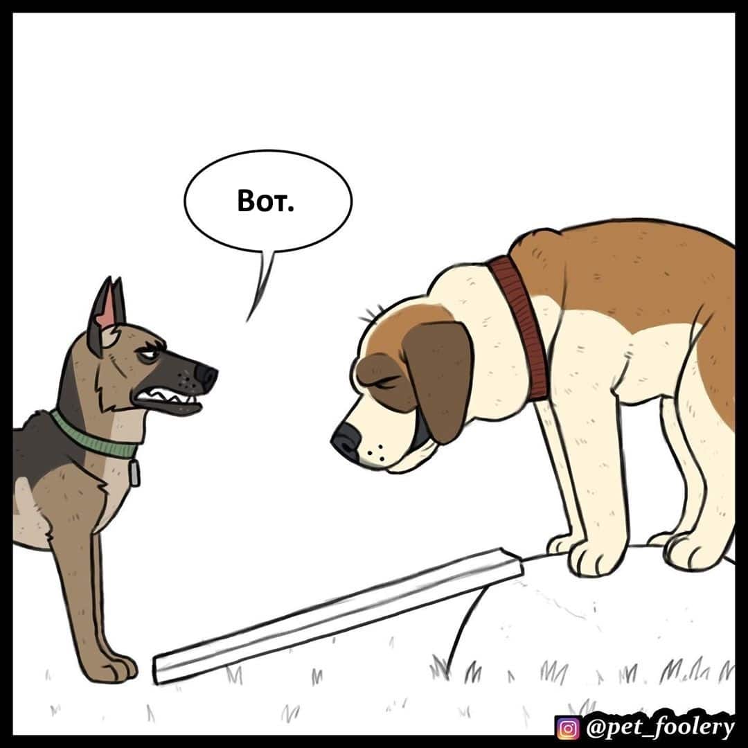 Манга Брут и Пикси - Глава 66 Страница 6