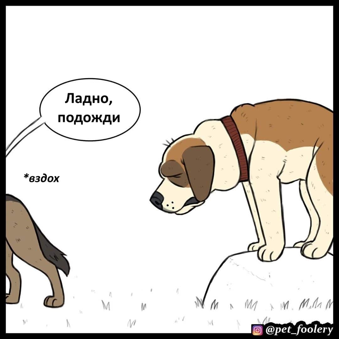 Манга Брут и Пикси - Глава 66 Страница 3