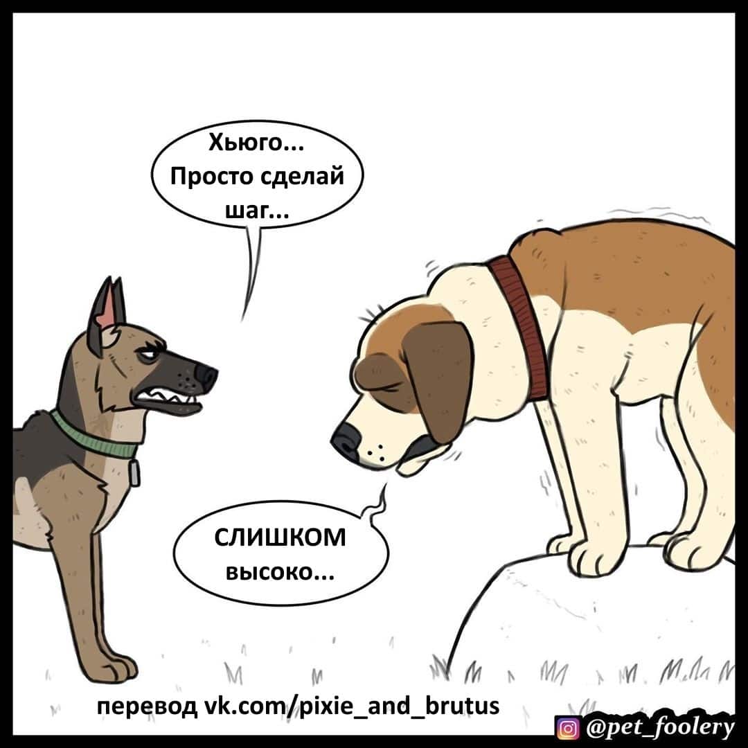 Манга Брут и Пикси - Глава 66 Страница 2