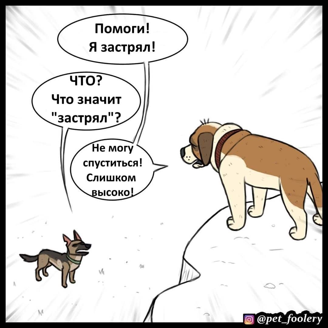 Манга Брут и Пикси - Глава 66 Страница 1