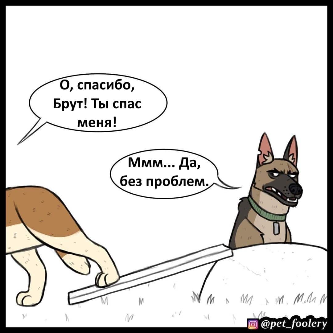 Манга Брут и Пикси - Глава 66 Страница 7