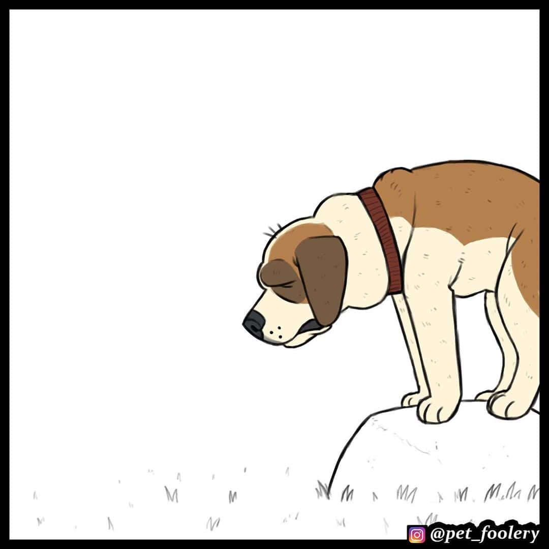 Манга Брут и Пикси - Глава 66 Страница 4