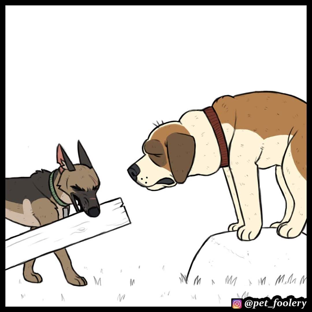 Манга Брут и Пикси - Глава 66 Страница 5