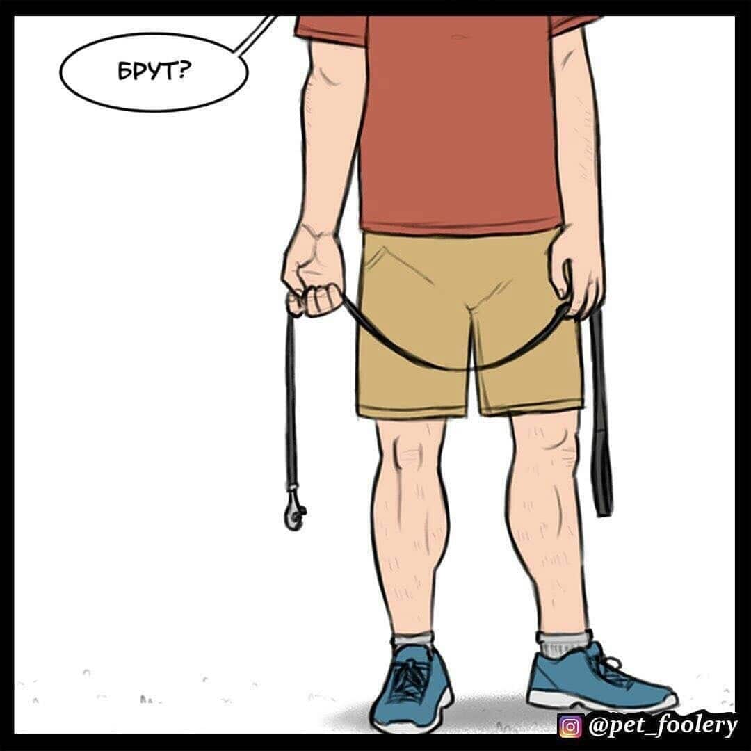 Манга Брут и Пикси - Глава 65 Страница 2