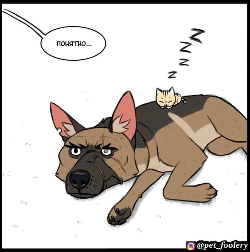 Манга Брут и Пикси - Глава 65 Страница 4