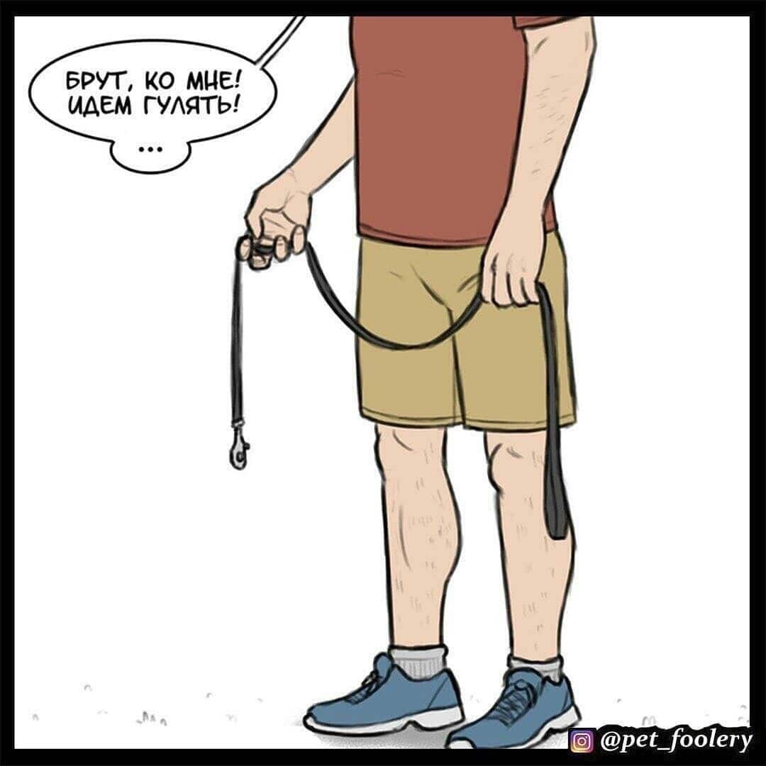 Манга Брут и Пикси - Глава 65 Страница 1