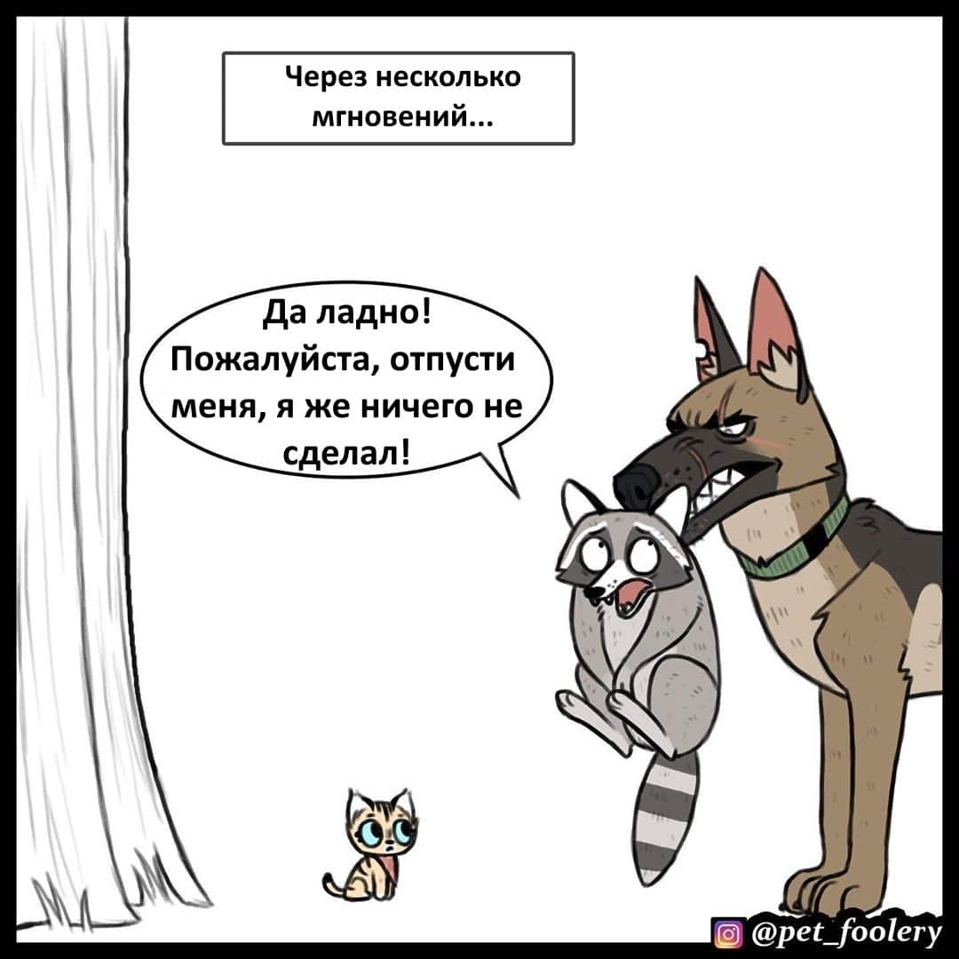 Манга Брут и Пикси - Глава 64 Страница 3