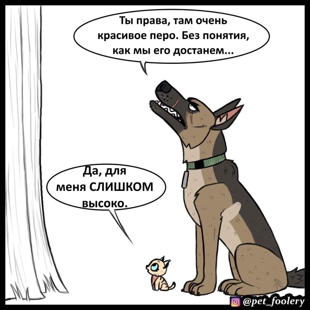 Манга Брут и Пикси - Глава 64 Страница 1