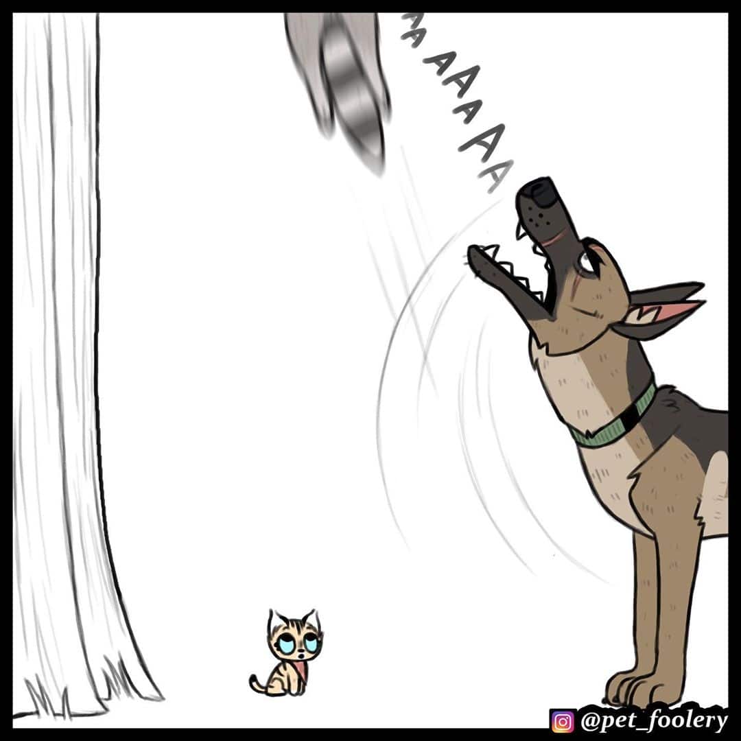 Манга Брут и Пикси - Глава 64 Страница 5