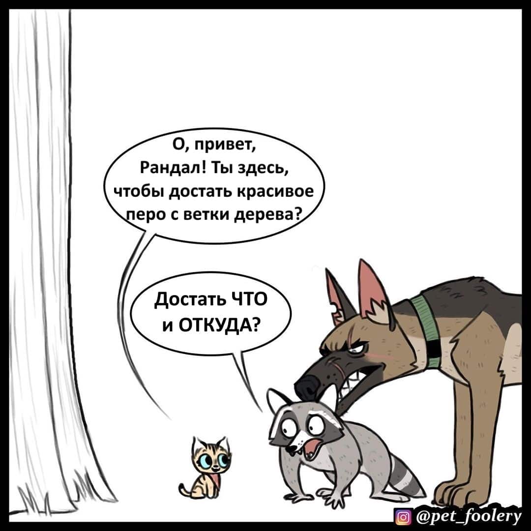 Манга Брут и Пикси - Глава 64 Страница 4