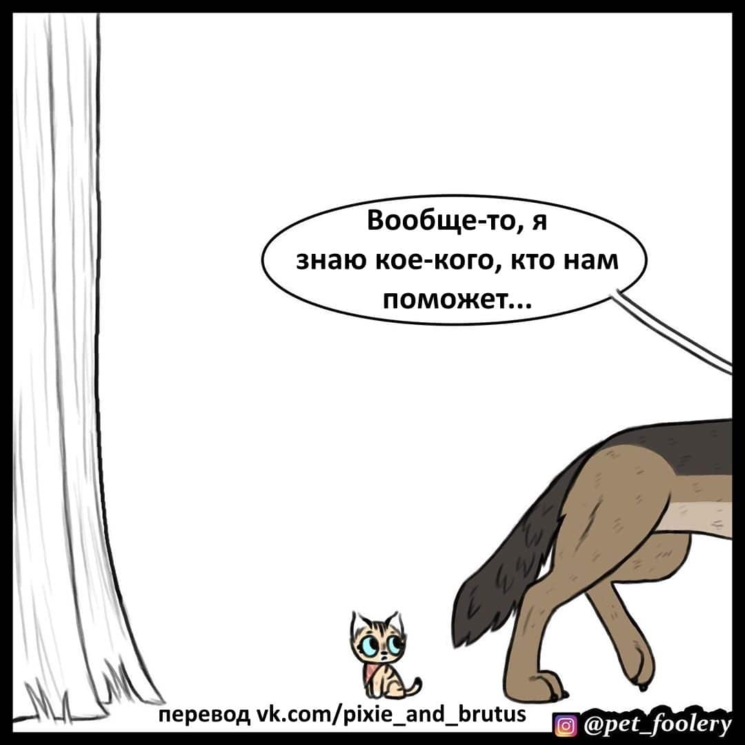 Манга Брут и Пикси - Глава 64 Страница 2