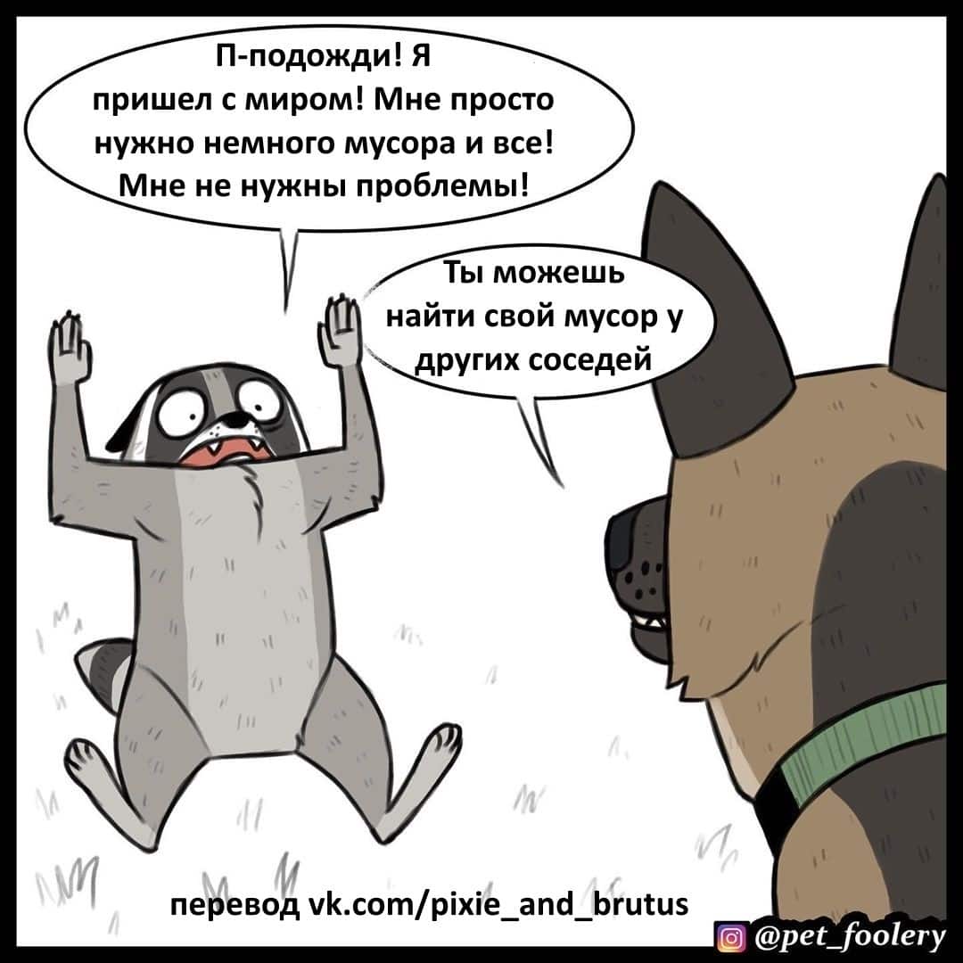 Манга Брут и Пикси - Глава 63 Страница 4