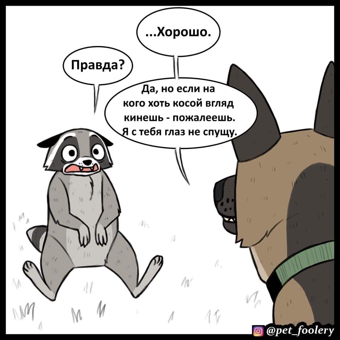 Манга Брут и Пикси - Глава 63 Страница 6