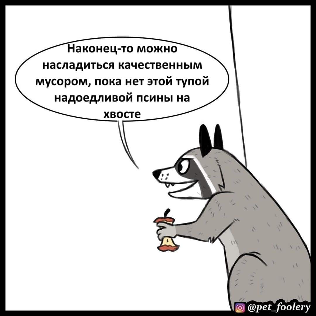 Манга Брут и Пикси - Глава 63 Страница 2