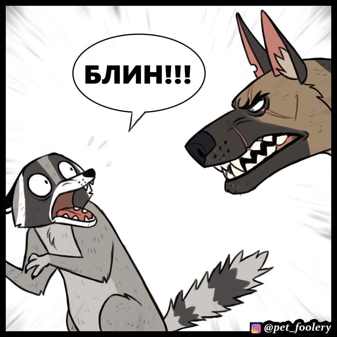 Манга Брут и Пикси - Глава 63 Страница 3