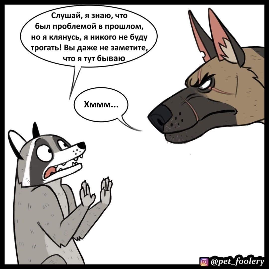 Манга Брут и Пикси - Глава 63 Страница 5