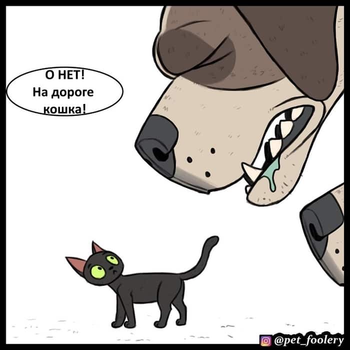 Манга Брут и Пикси - Глава 60 Страница 6