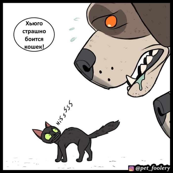 Манга Брут и Пикси - Глава 60 Страница 7