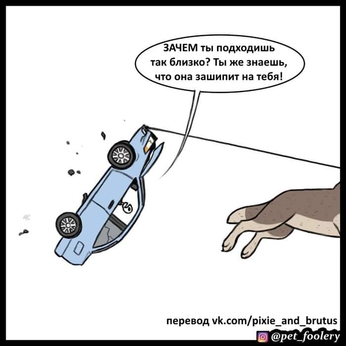 Манга Брут и Пикси - Глава 60 Страница 8