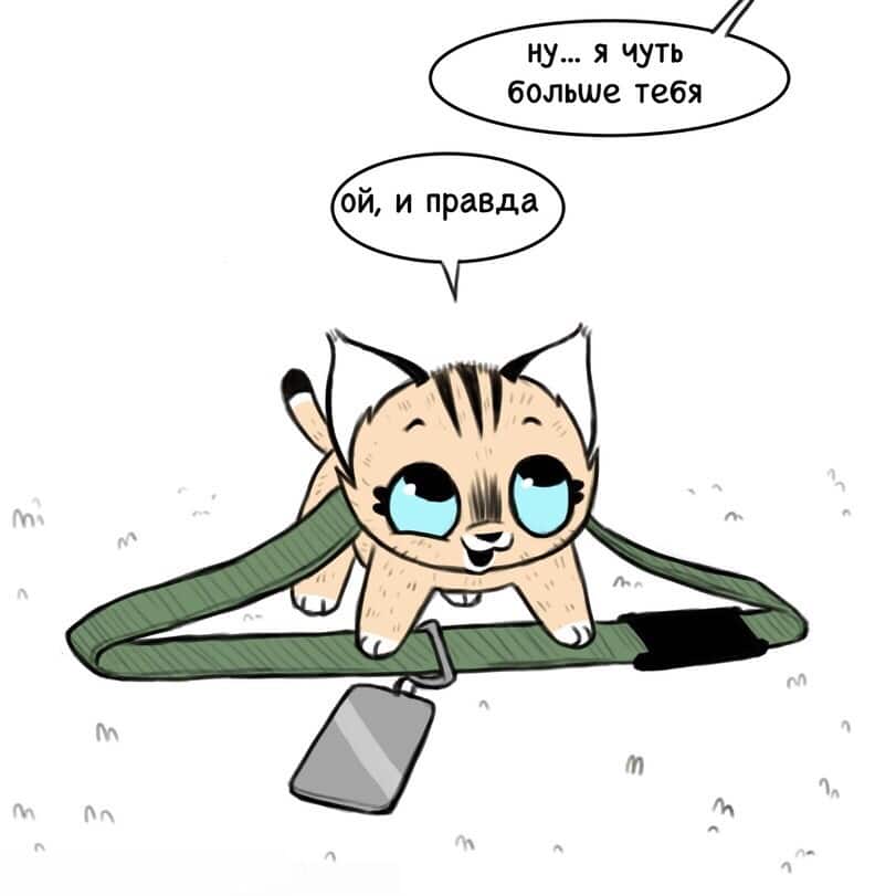 Манга Брут и Пикси - Глава 58 Страница 3