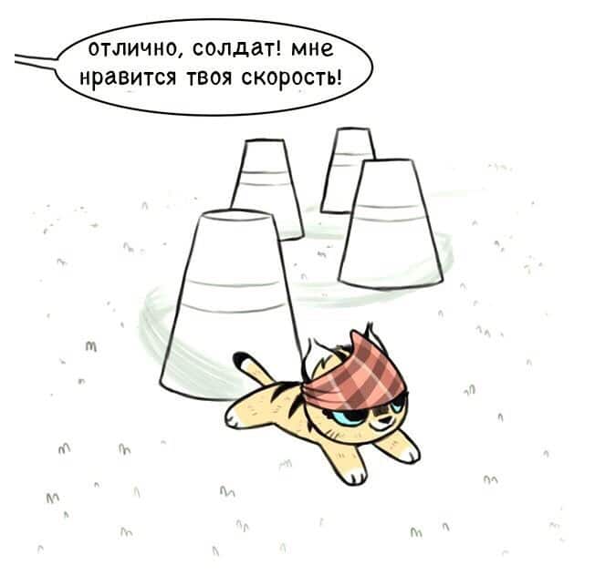 Манга Брут и Пикси - Глава 57 Страница 3