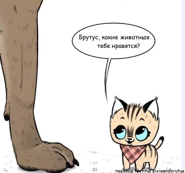 Манга Брут и Пикси - Глава 54 Страница 1