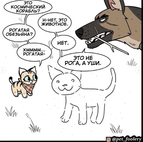 Манга Брут и Пикси - Глава 68 Страница 7