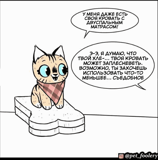 Манга Брут и Пикси - Глава 70 Страница 4