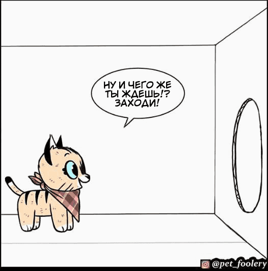 Манга Брут и Пикси - Глава 70 Страница 5