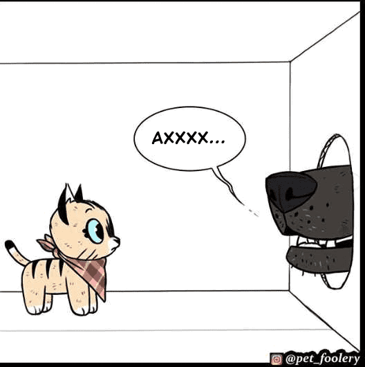 Манга Брут и Пикси - Глава 70 Страница 6