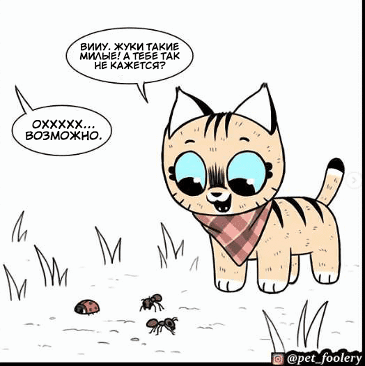 Манга Брут и Пикси - Глава 72 Страница 1