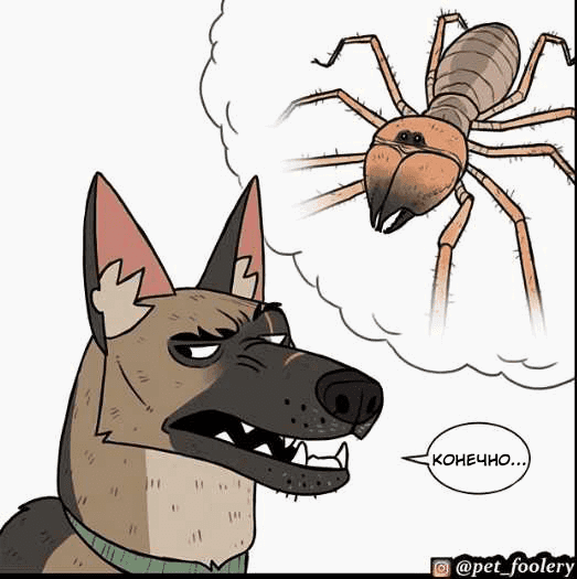 Манга Брут и Пикси - Глава 72 Страница 4