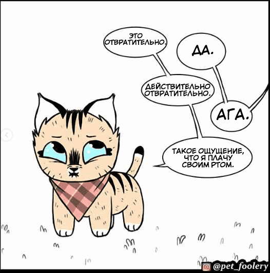 Манга Брут и Пикси - Глава 73.1 Страница 6