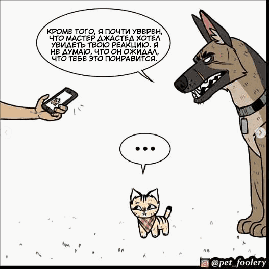 Манга Брут и Пикси - Глава 73.1 Страница 5