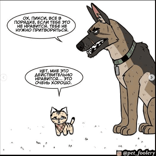 Манга Брут и Пикси - Глава 73.1 Страница 3